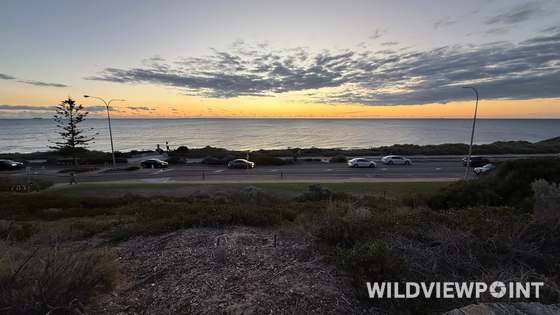 Cars on a coast road below a grassy dune, with the sea and a layered sunset sky beyond and a Norfolk pine and street lamps in the foreground.