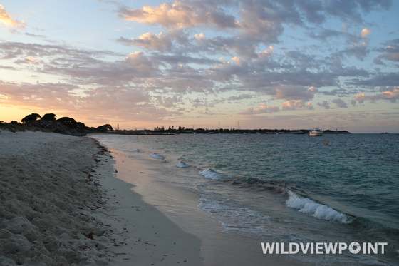 A white sand beach with small waves under pink-lit clouds, with moored boats and a ferry in the distance.
