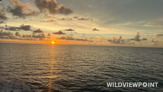 The sun touching the horizon over a calm sea, its light running down the water, with a ship's wake in the bottom corner.