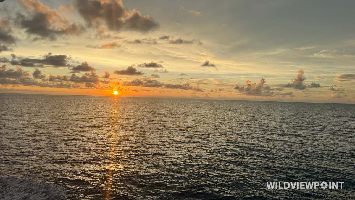 The sun touching the horizon over a calm sea, its light running down the water, with a ship's wake in the bottom corner.